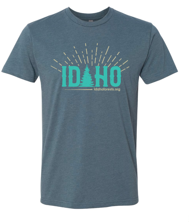 2024 Idaho T-shirt