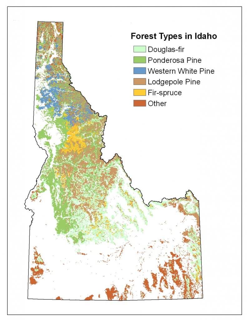 Forest Types in Idaho