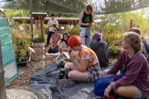 Small grant makes big impact: Forest Day helps Idaho at-risk teens connect with nature 9