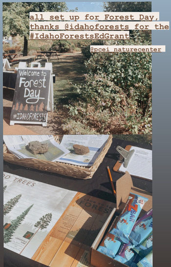 Small grant makes big impact: Forest Day helps Idaho at-risk teens connect with nature 10